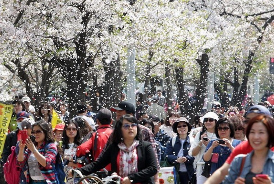 Tour du lịch Hàn Quốc tại Top ten Travel